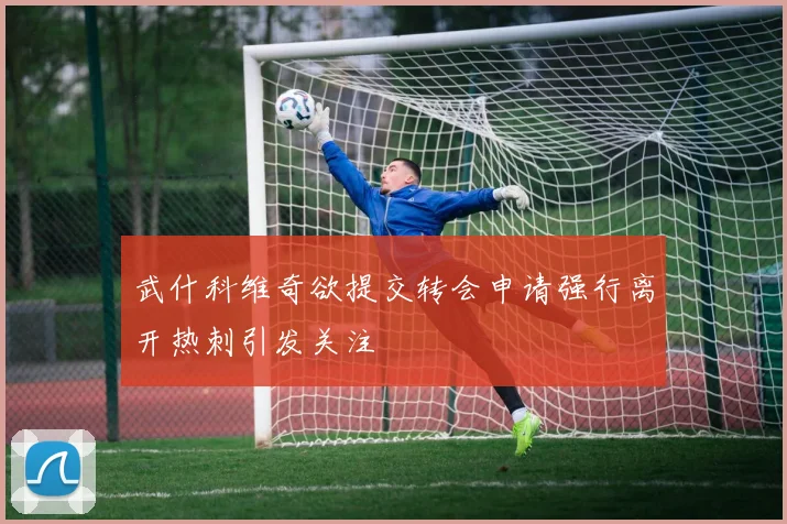 武什科维奇欲提交转会申请强行离开热刺引发关注