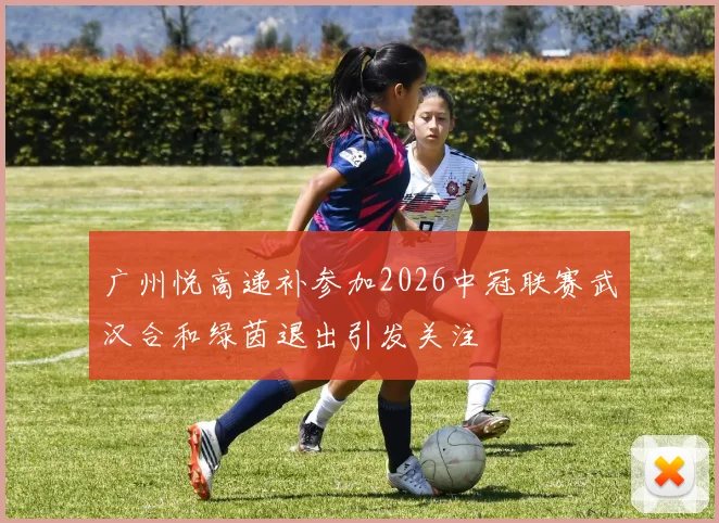 广州悦高递补参加2026中冠联赛武汉合和绿茵退出引发关注