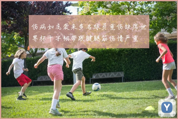 伤病如虎袭来多名球员重伤缺席世界杯十字韧带跟腱腿筋伤情严重